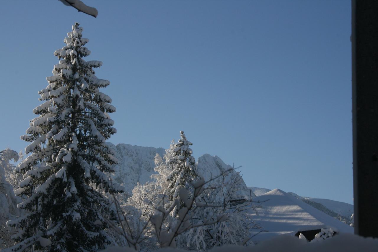 Apartamenty Paradis Zakopane Kültér fotó