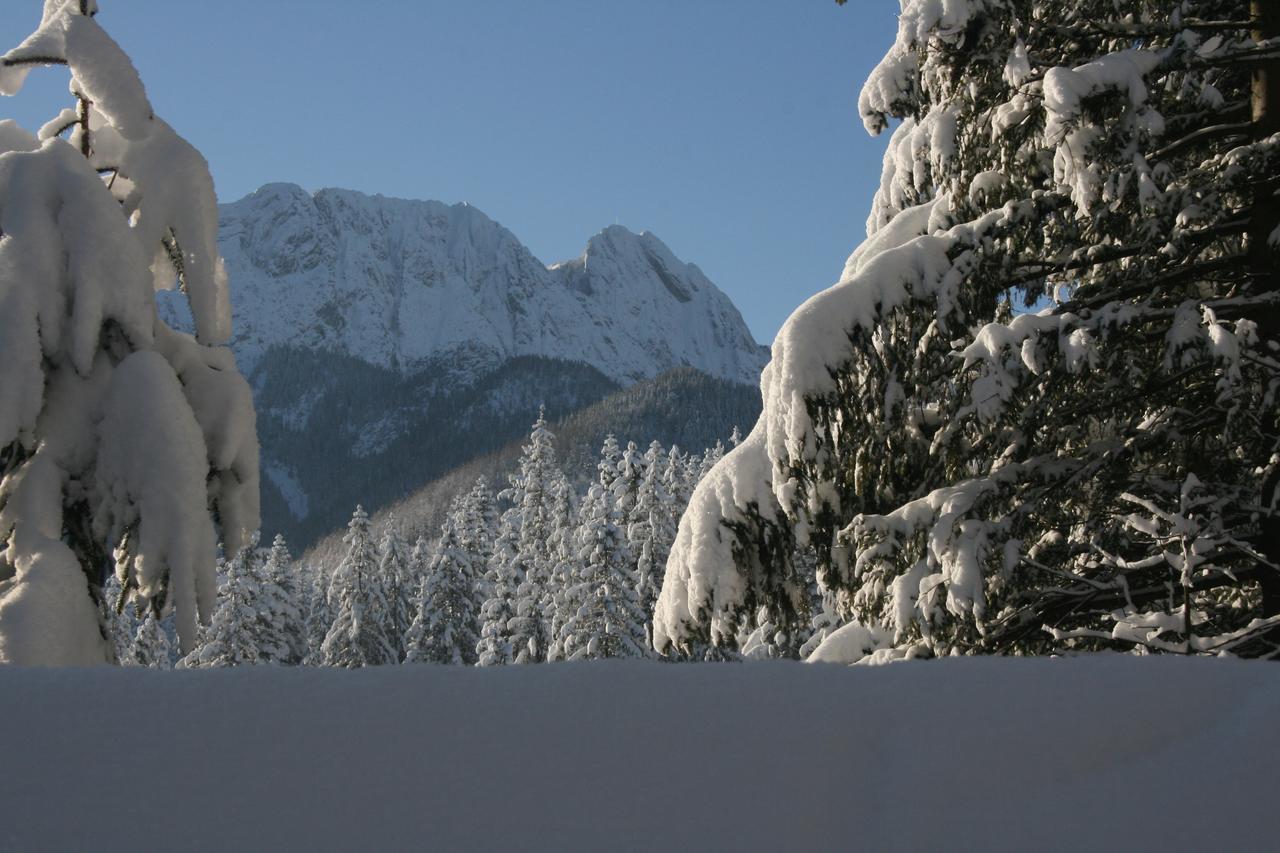 Apartamenty Paradis Zakopane Kültér fotó